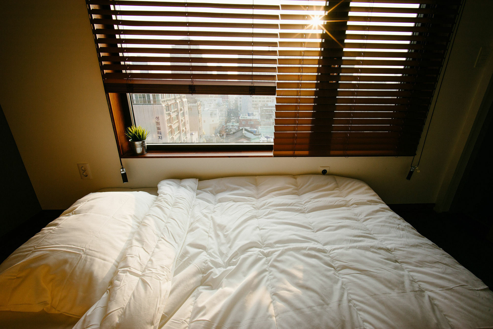 Morning Dew Guesthouse ปูซาน ภายนอก รูปภาพ